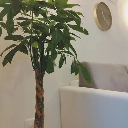 Апартаменты La Maddalena