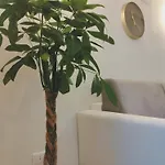 شقة La Maddalena