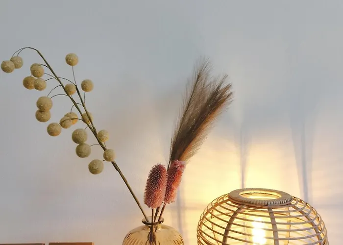 La Maddalena 博尔迪盖拉